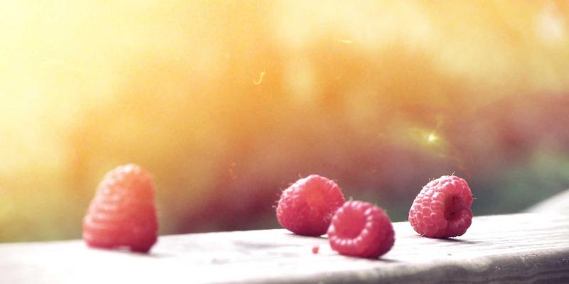 Phnom Penh家庭旅行全攻略：亲子游吴哥窟、生态村与安全旅行贴士