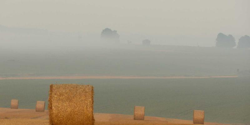 从暹粒到金边：探索柬埔寨贡布胡椒与蒙多基里咖啡的农场之旅