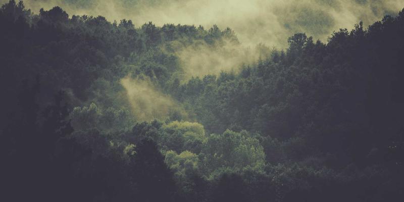 柬埔寨传统节庆深度体验：金边旅游与地面服务指南