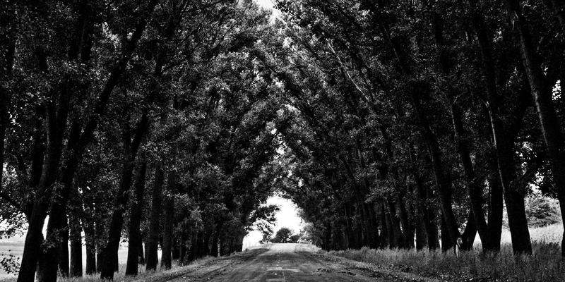 柬埔寨传统节庆深度游指南：在Phnom Penh与Angkor Wat体验泼水节、亡人节与送水节