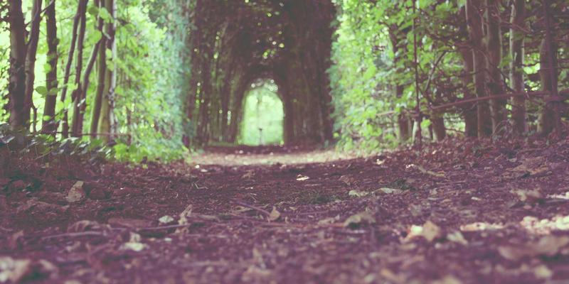 柬埔寨双城记:金边与暹粒,穿越高棉的今昔辉煌