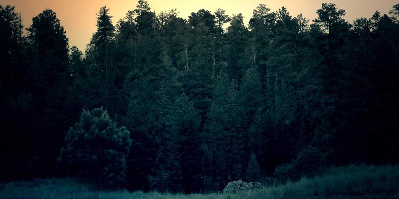 柬埔寨家庭友好型地面服务指南：暹粒蝴蝶园、吴哥儿童工作坊与金边互动博物馆