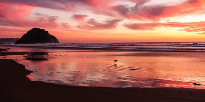 柬埔寨家庭旅游指南：带孩子安全探索暹粒与金边的终极攻略