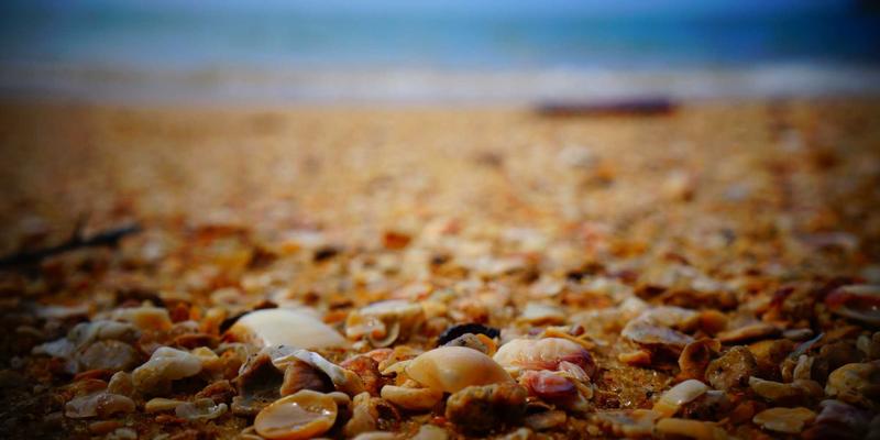 柬埔寨家庭旅行指南：带孩子在暹粒和金边安全又有趣的实用贴士