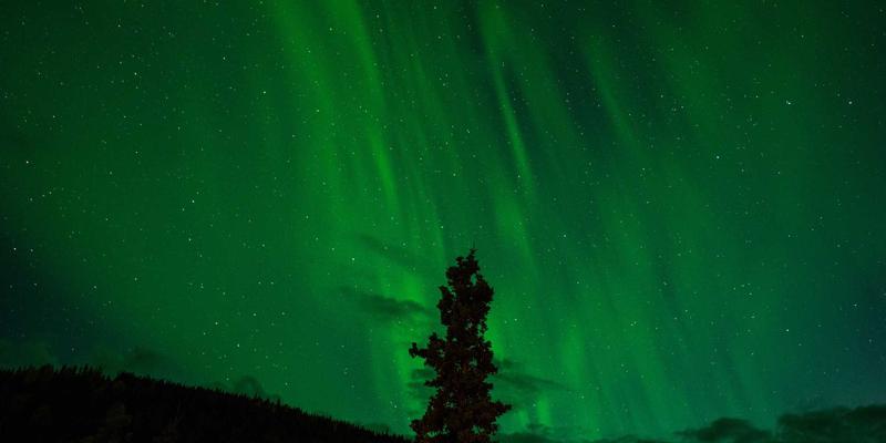 柬埔寨旅行全攻略：从金边出发，专业地接与导游服务解锁高棉秘境