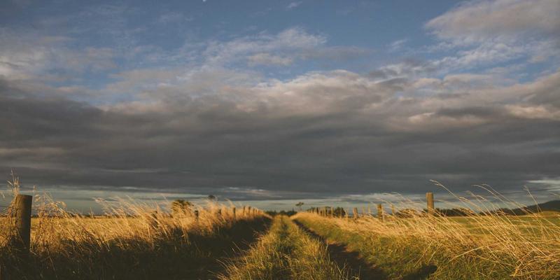 柬埔寨旅行终极指南:从吴哥窟探秘到实用旅行贴士