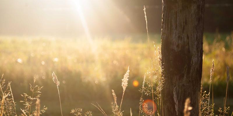 柬埔寨旅行终极指南:从吴哥窟的千年回响到金边的现代脉搏