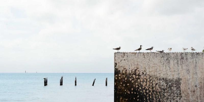 柬埔寨旅行终极指南:实用贴士与深度体验