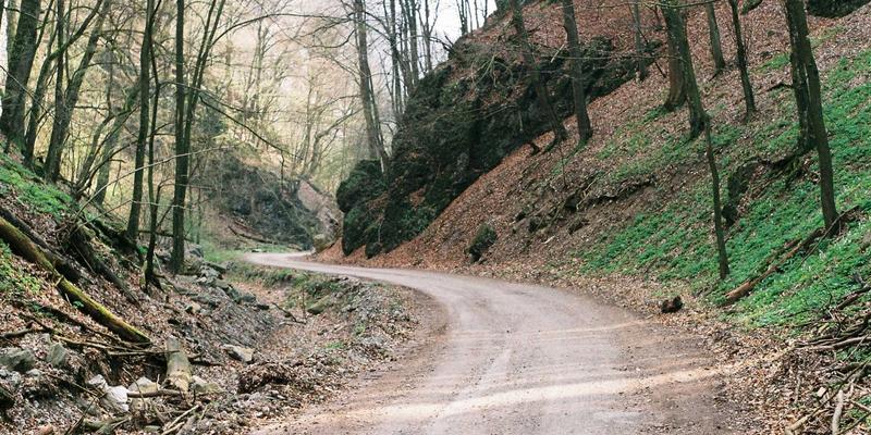 柬埔寨旅行终极指南:揭秘金边与暹粒的独特魅力与旅行优势