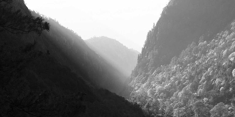 柬埔寨暹粒终极旅行指南：探秘吴哥窟与实用贴士