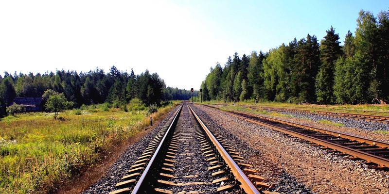 柬埔寨素食旅行者指南：暹粒高棉素食餐厅推荐与寺庙斋饭文化深度体验