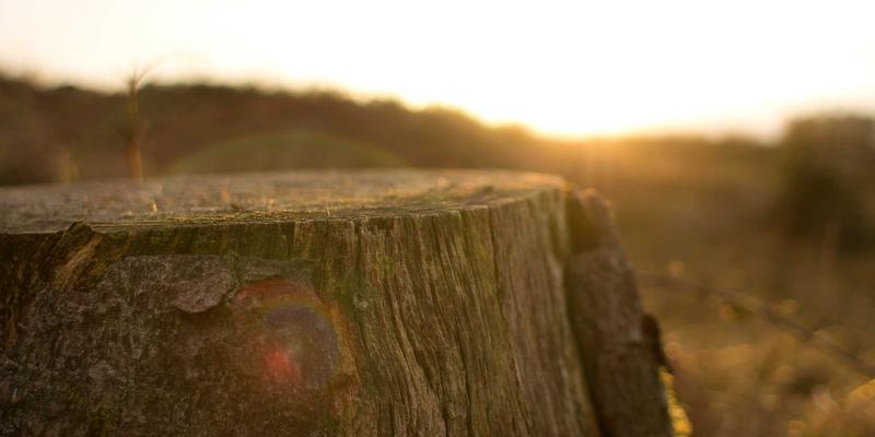 柬埔寨西哈努克市海滩度假指南：高龙岛与高龙撒冷岛哪个更适合你？