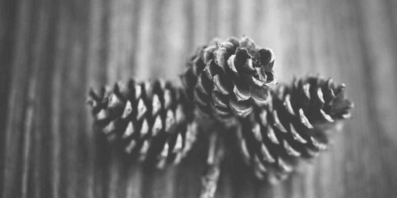 柬埔寨西哈努克市高龙撒冷岛终极指南：避开人群的隐秘海滩与环保住宿旅行贴士