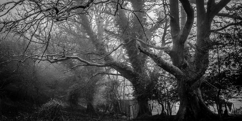 穿越吴哥窟的味蕾之旅：从路边摊到烹饪课程，探索柬埔寨美食的灵魂