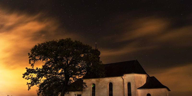 超越吴哥窟与金边：探索柬埔寨豆蔻山脉的生态徒步、野生动物观察与社区保护之旅